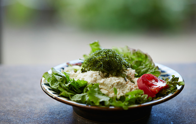 Yushi Tofu Salad
